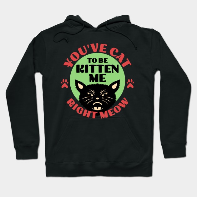 You've Cat To be Kitten Me Hoodie by Flying Cat Designs